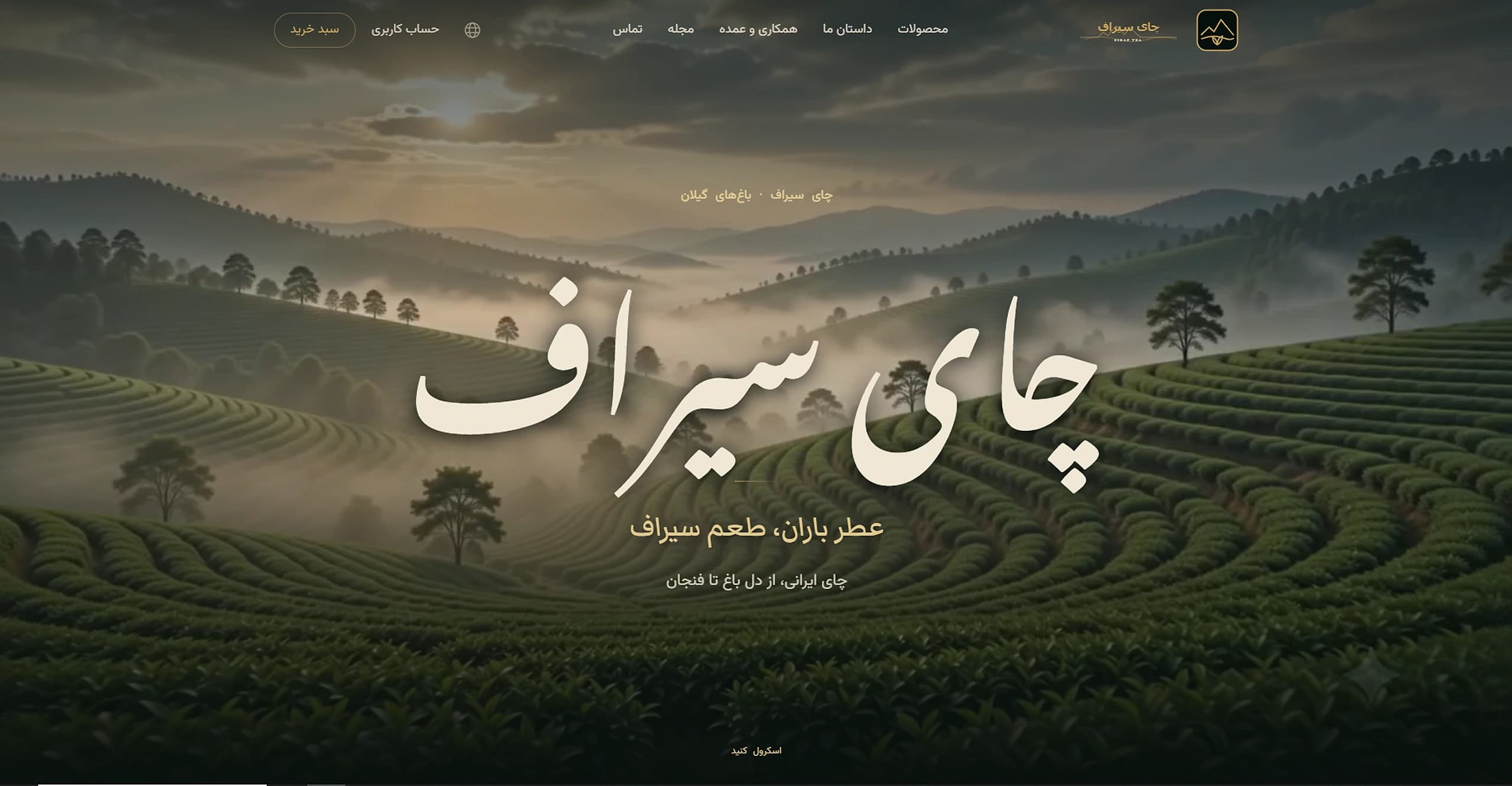 چای سیراف — Cinematic hero